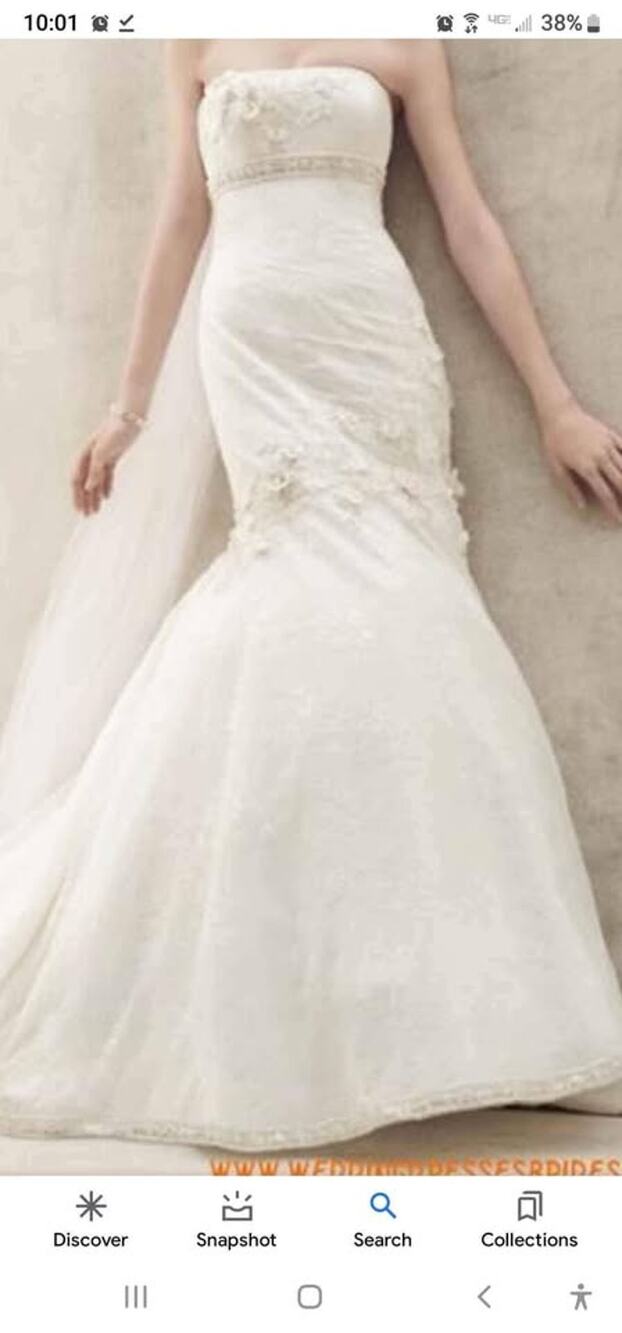 NWT Oleg Cassini CWG377 Ivory size 14 Crinoline (14) & bustier (38C) included